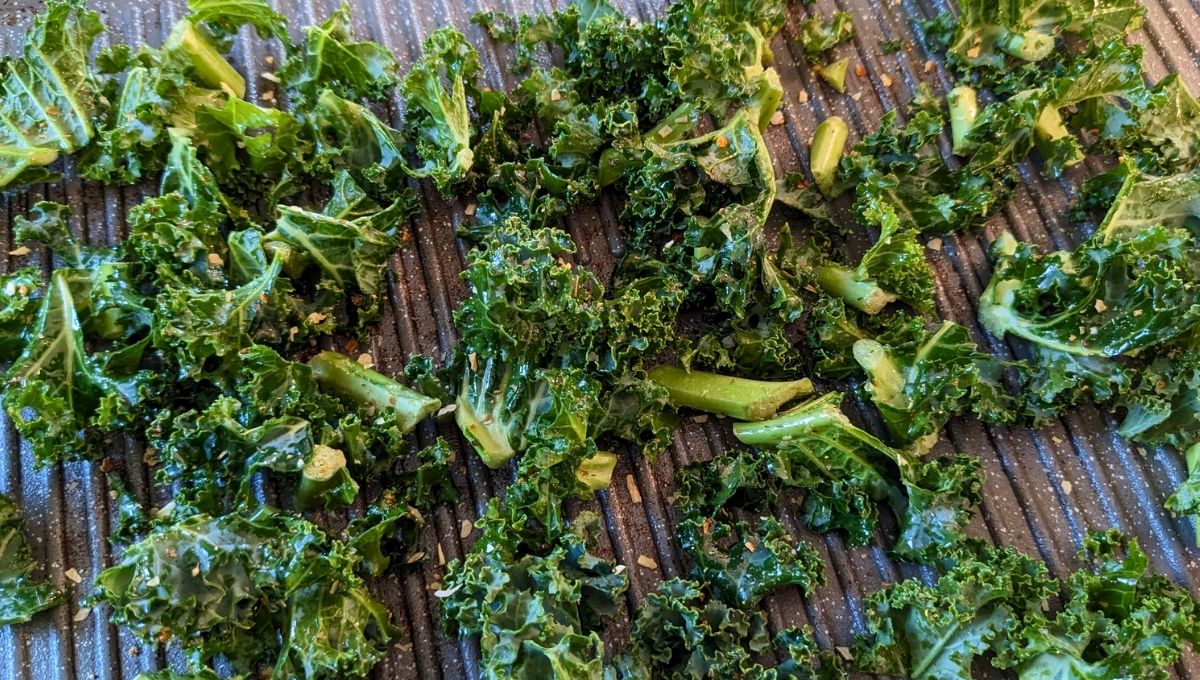 kale chips vegetable snack